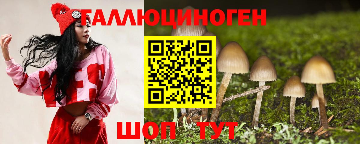 Вичуга  Псилоцибиновые грибы мухоморы  Вход с VPN 
